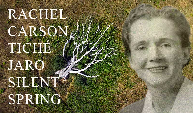 Rachel Carson, Tiché jaro a DDT. Nevěřte slepě vědcům, ale všechno si vždy prověřujte