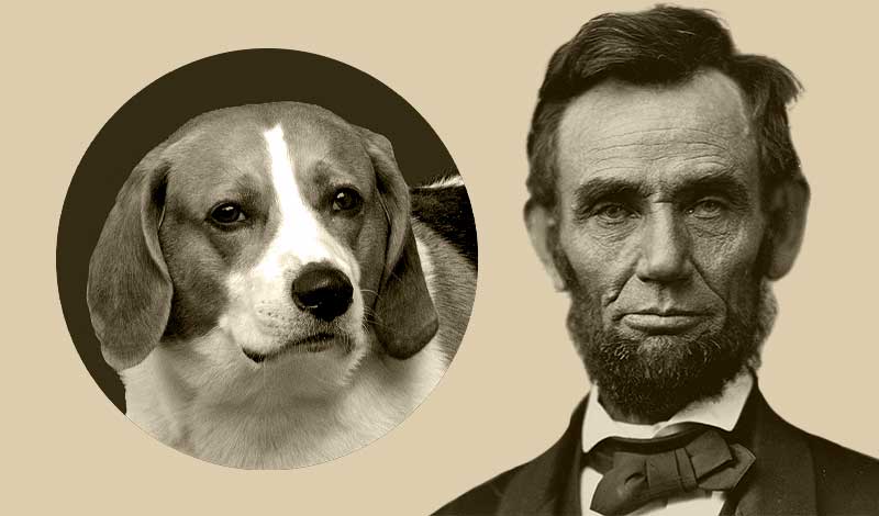 Lincolnův pes