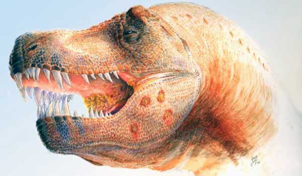 Tyrannosaurus rex trichomonoza