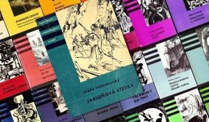 kod pecinovsky dobrodruzne knihy | Čítárny