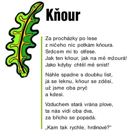 rikadla_kainar450_2.jpg