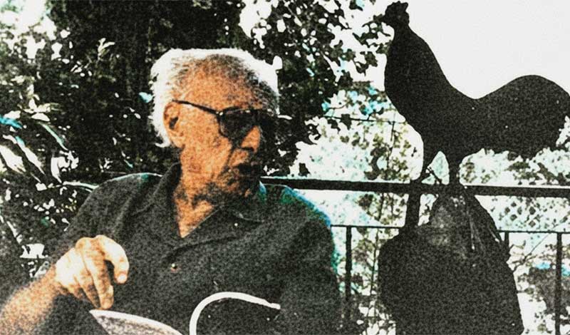 Viktor Fischl a kohout