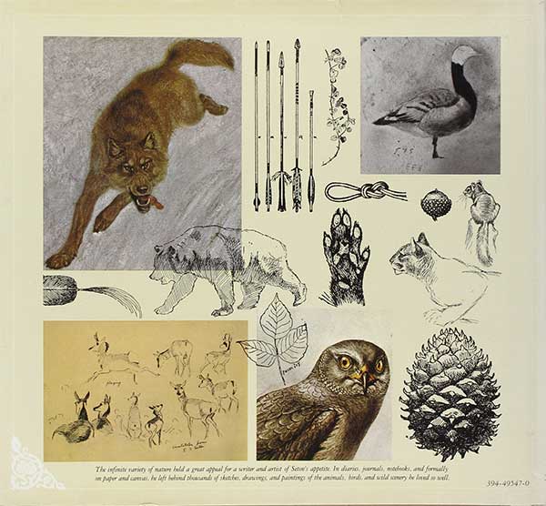 seton kresby illustration