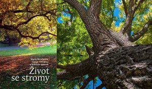 Život se stromy. | Čítárny