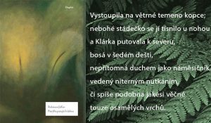 Jeffersova Pastýřka putující k dubnu | Čítárny Jeffersova Pastýřka putující k dubnu | Čítárny