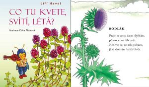 Havel Co tu kvete, svítí, létá? | Čítárny Básničky pro děti. Havel Co tu kvete, svítí, létá? | Čítárny