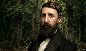 Thoreau. Mainske lesy. Walden... | Čítárny