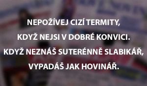 xenofobie citat | Čítárny