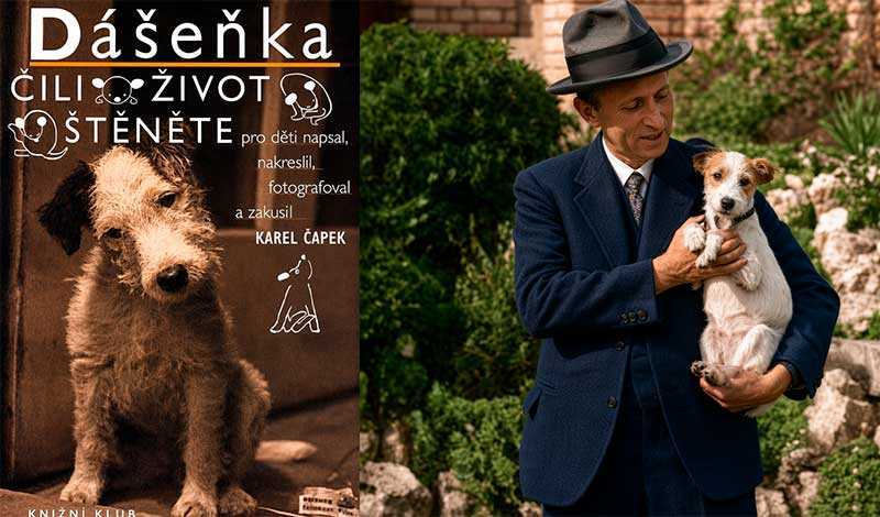 Karel Čapek. Dášeňka