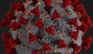 viry virologie medicina veda covid19 | Čítárny