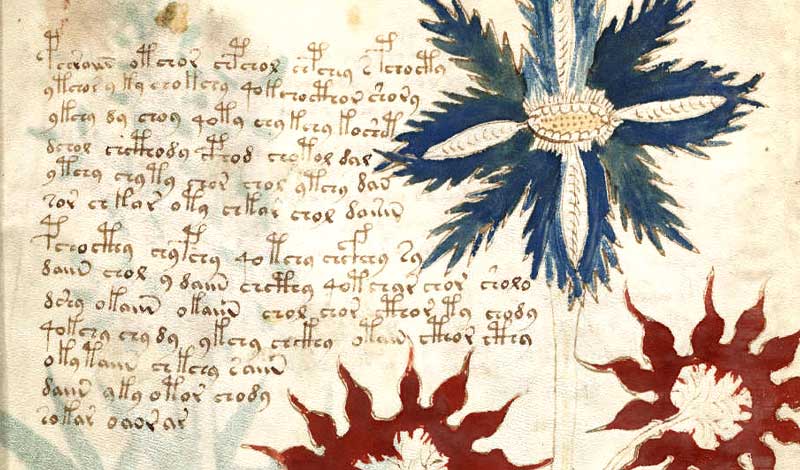 vojnichuv-rukopis | Čítárny Vojnichův rukopis