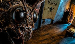 Kafka. Proměna | Čítárny